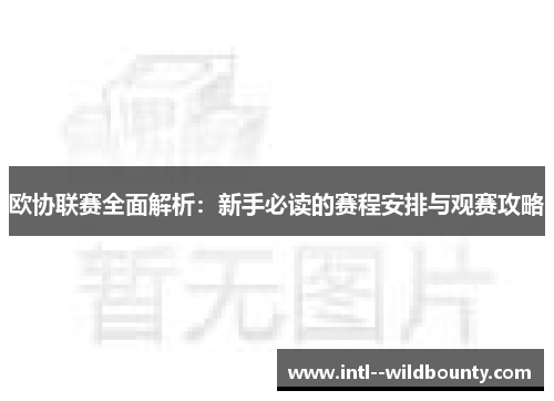 欧协联赛全面解析：新手必读的赛程安排与观赛攻略