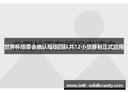 世界杯组委会确认每组四队共12小组赛制正式启用